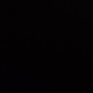 Meet your Posher, Todd